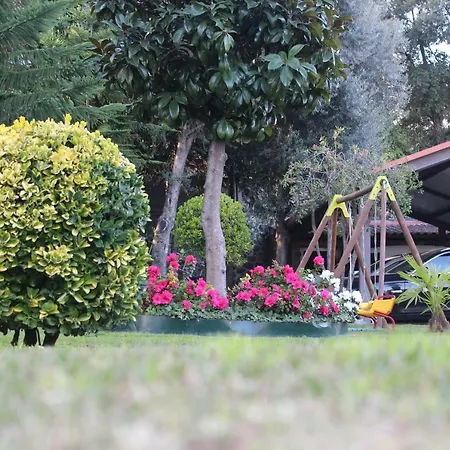 Turismo Homes Solar Do Areal Guest house 4*