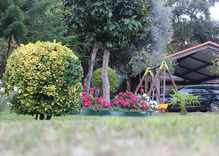 Turismo Homes Solar Do Areal Guest house 4*